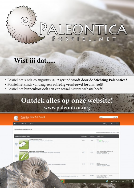 BALIEDISPLAY voor website small.jpg