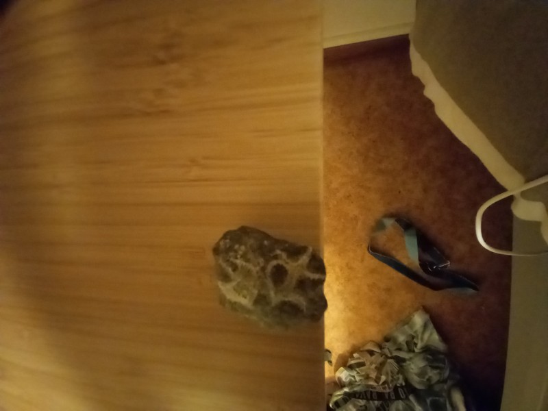 16289750366785103141718971872698.jpg (1.03 MiB) 2167 keer bekeken 16289750366785103141718971872698.jpg