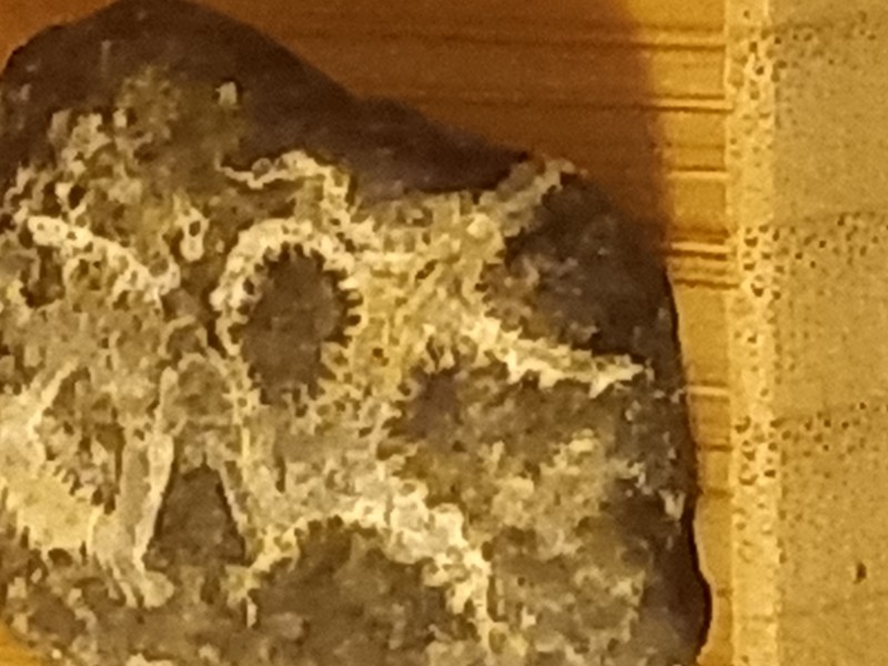 16289751122017769866731757389685.jpg (1.51 MiB) 2167 keer bekeken 16289751122017769866731757389685.jpg