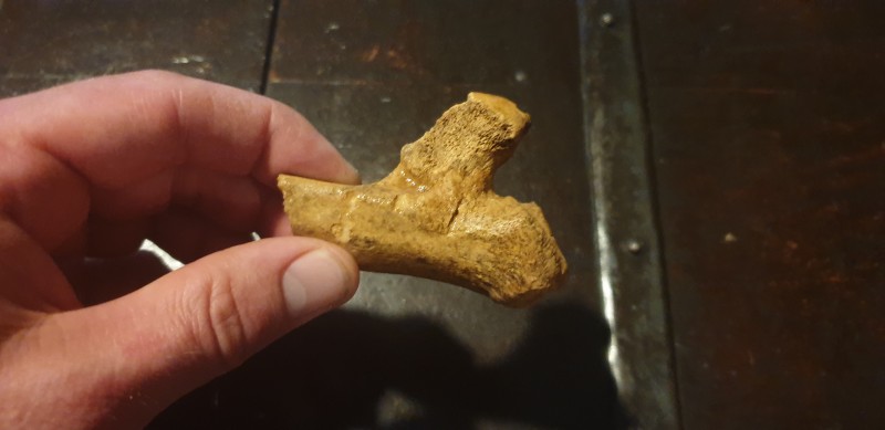 20210914_212521.jpg (6.95 MiB) 3556 keer bekeken 20210914_212521.jpg