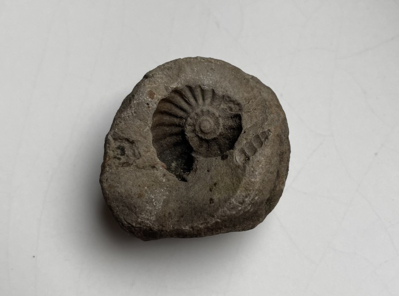 steen.JPG (620.23 KiB) 1799 keer bekeken steen.JPG