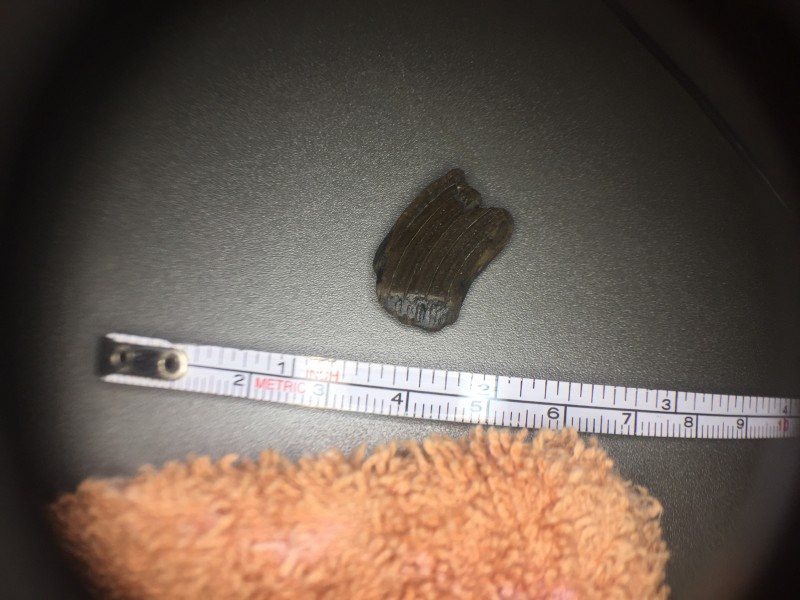 IMG_2812.JPG (2.16 MiB) 1398 keer bekeken Kiesje2