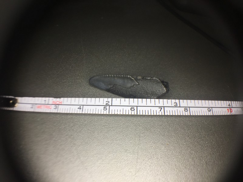 IMG_2814.JPG (2.15 MiB) 1464 keer bekeken Fragment1