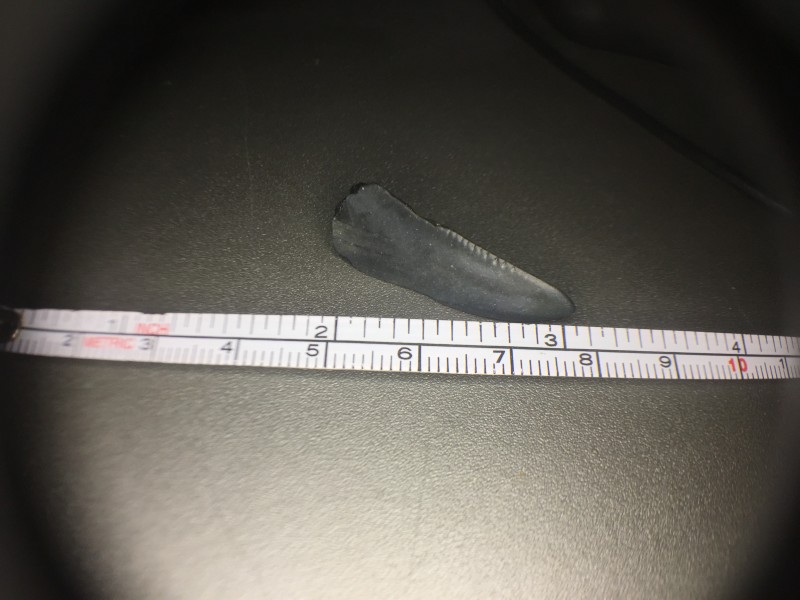 IMG_2815.JPG (2.03 MiB) 1398 keer bekeken Fragment2