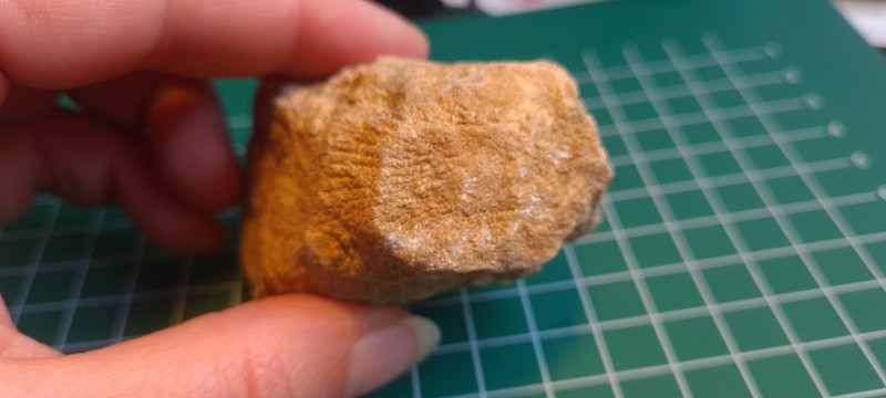 20211109_132721.jpg