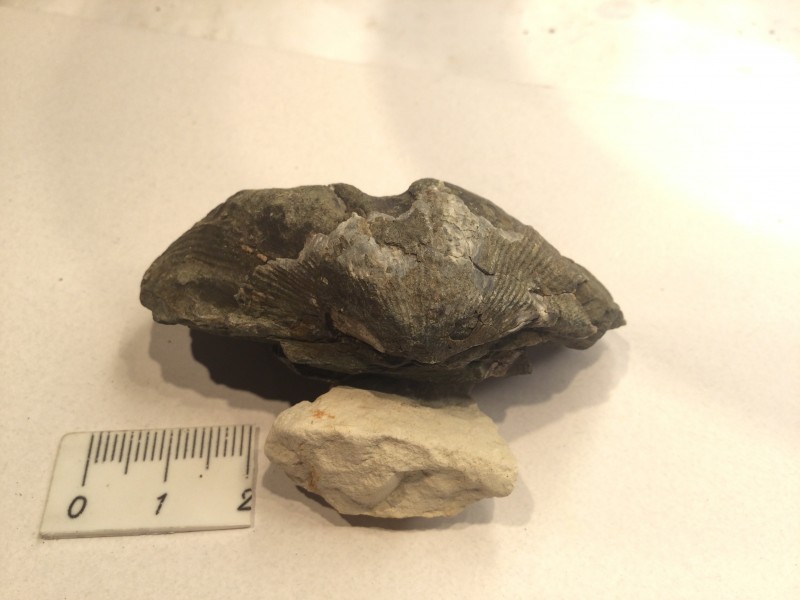 Object 1, zijkant