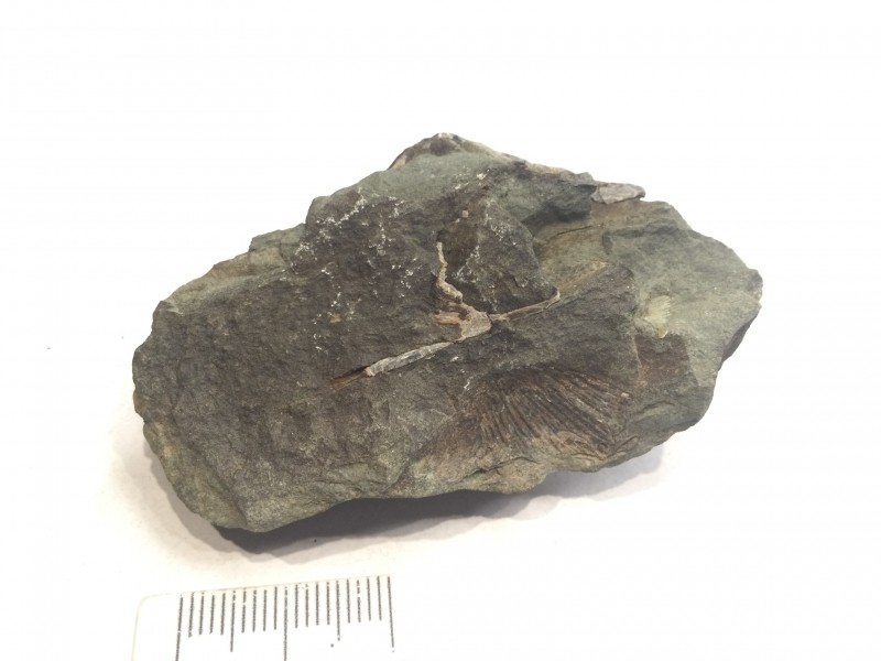Object 1, achterkant, niet veel te zien…