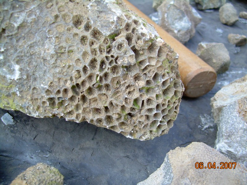 DSCN0291.JPG
