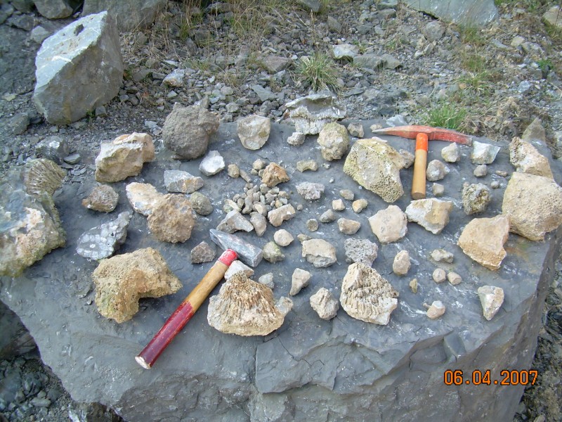 DSCN0287.JPG