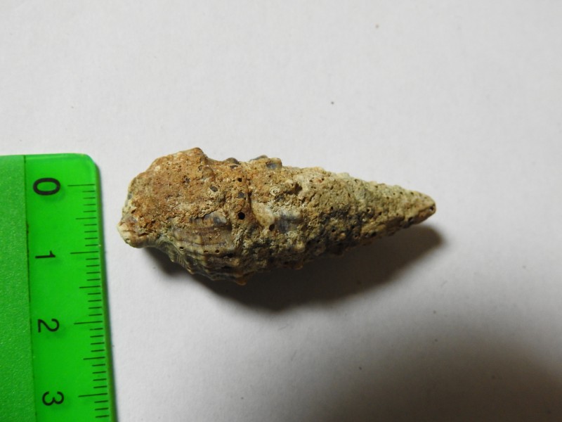 DSCN3489.JPG (4.95 MiB) 637 keer bekeken DSCN3489.JPG