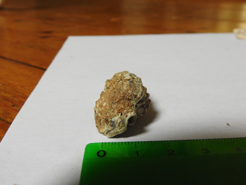DSCN3490.JPG