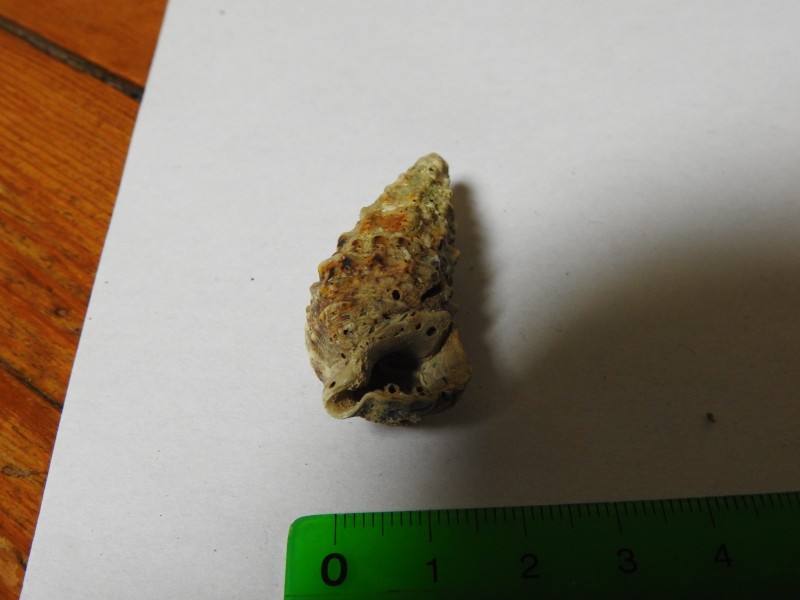 DSCN3491.JPG