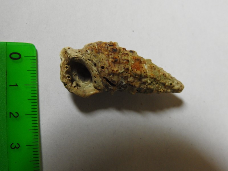 DSCN3492.JPG (5.02 MiB) 637 keer bekeken DSCN3492.JPG