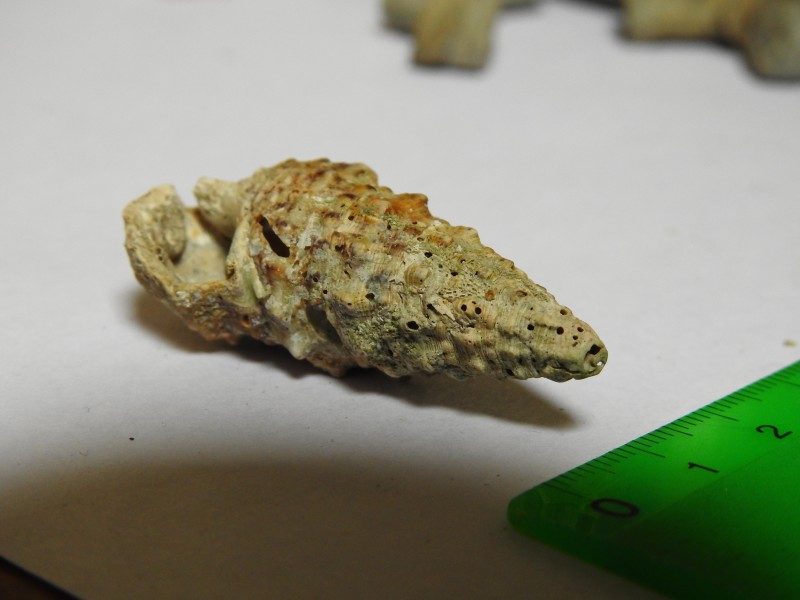 DSCN3493.JPG (5.15 MiB) 637 keer bekeken DSCN3493.JPG