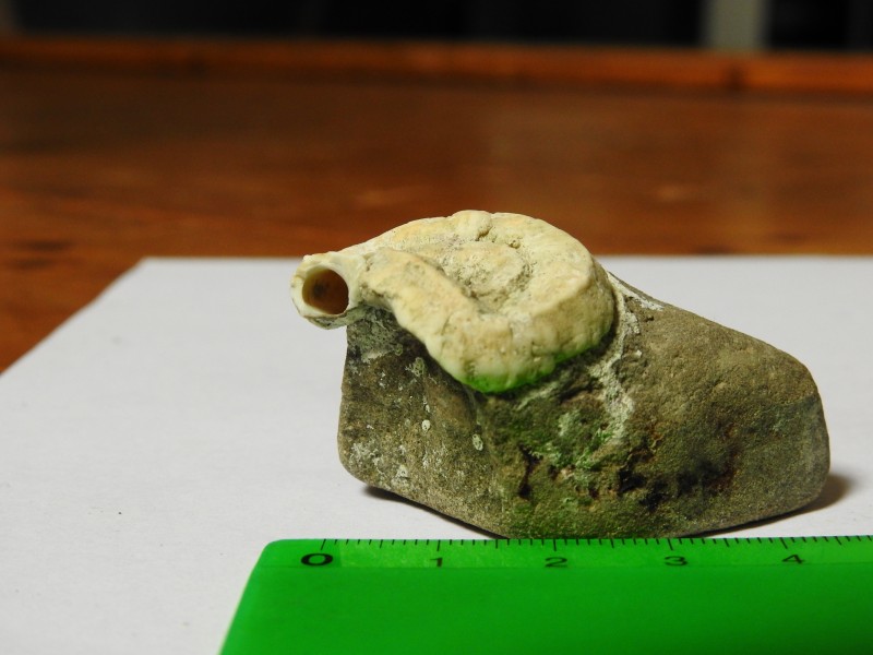 DSCN3476.JPG