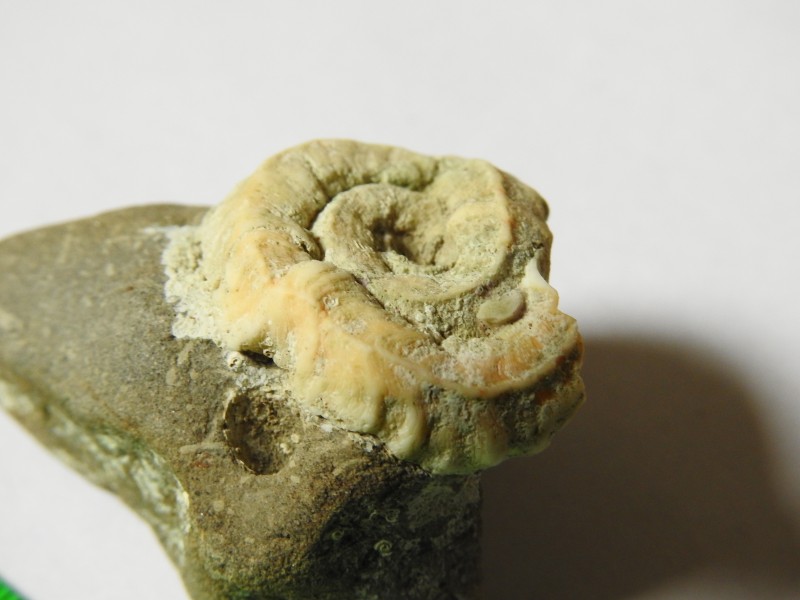 DSCN3480.JPG