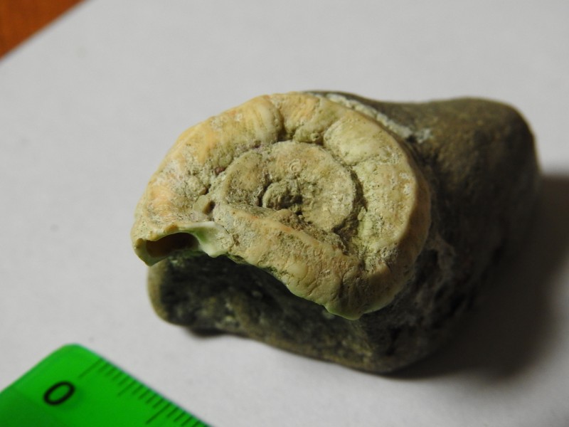 DSCN3481.JPG