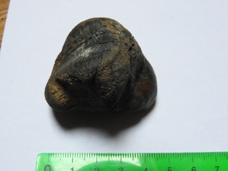 DSCN3409.JPG