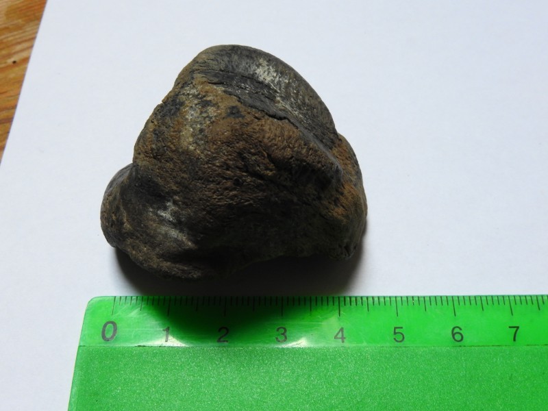 DSCN3411.JPG