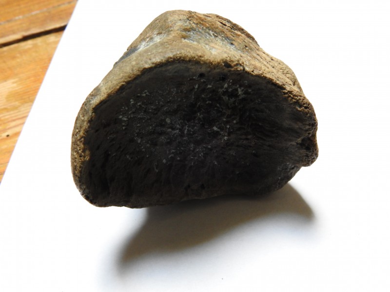 DSCN3412.JPG