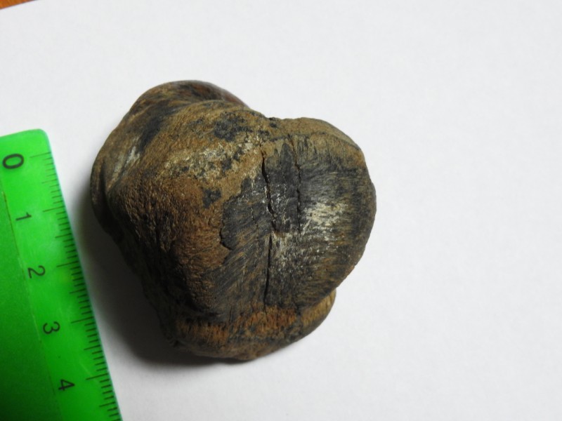 DSCN3414.JPG