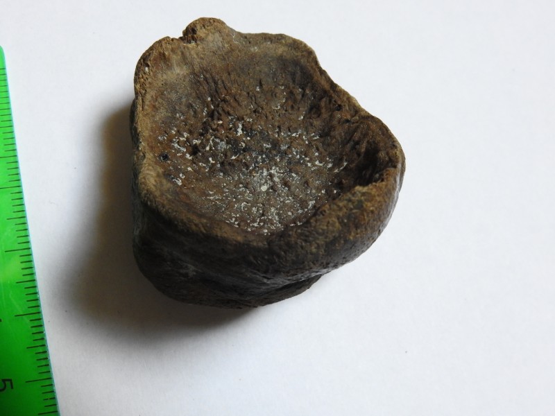 DSCN3420.JPG