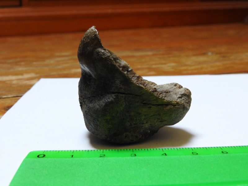 DSCN3422.JPG