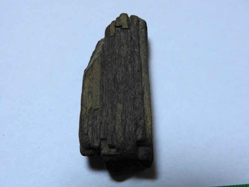 DSCN3449.JPG