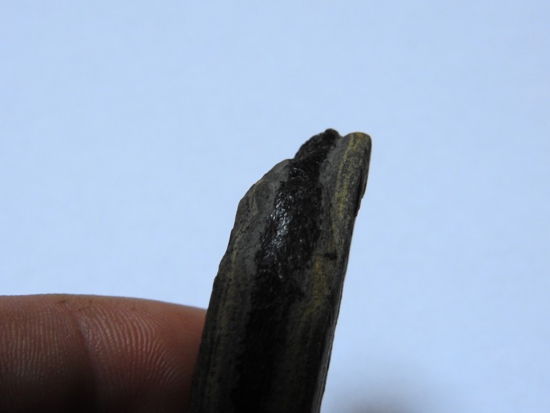 DSCN3452.JPG