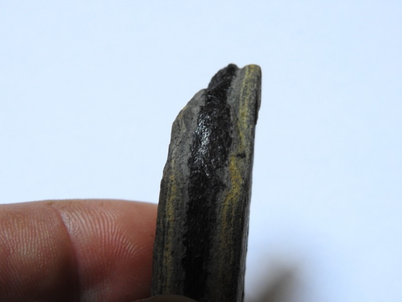DSCN3453.JPG