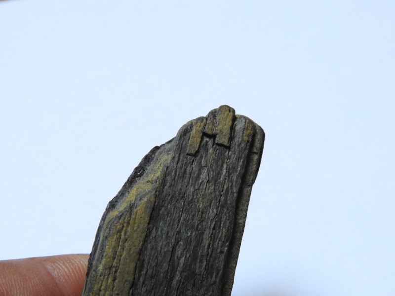 DSCN3454.JPG