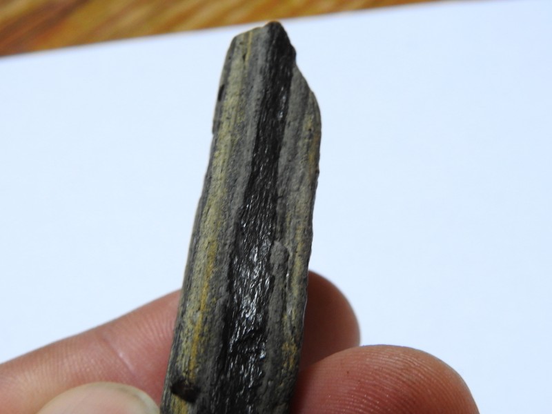 DSCN3455.JPG