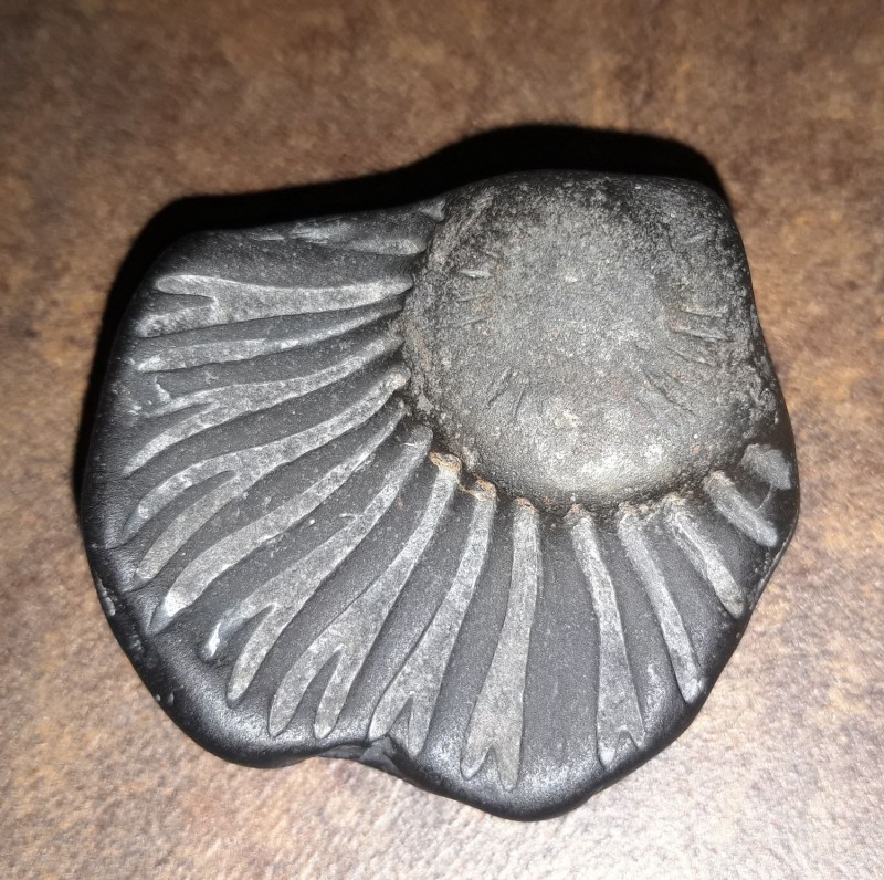fossiel1.jpg (505.6 KiB) 406 keer bekeken fossiel1.jpg