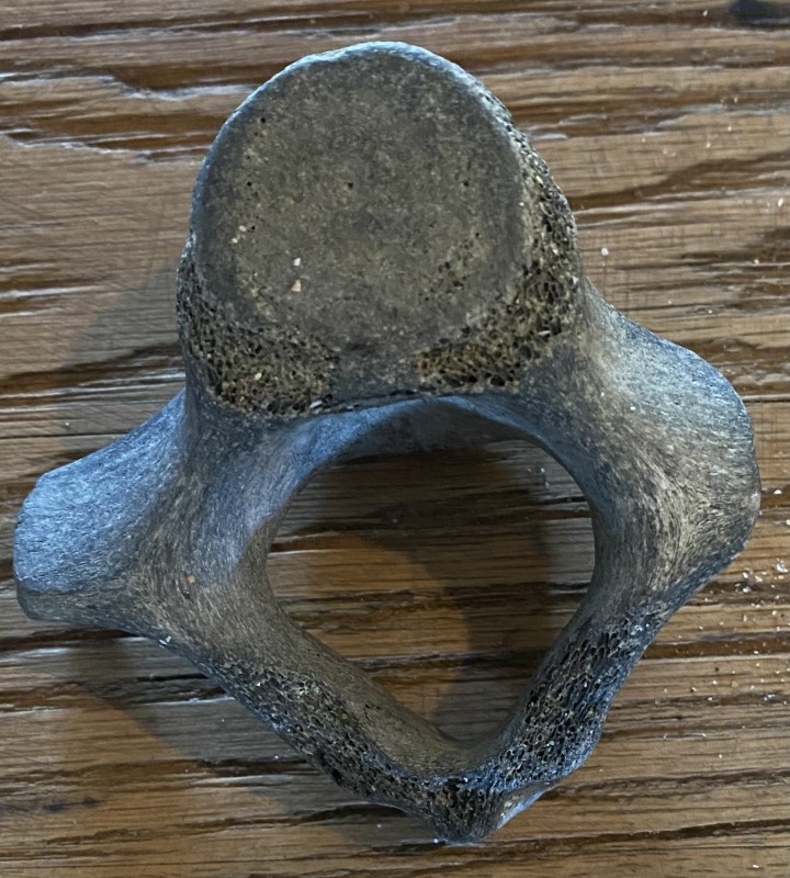09909841-50CA-426F-B1FA-C9612942DB23.jpeg