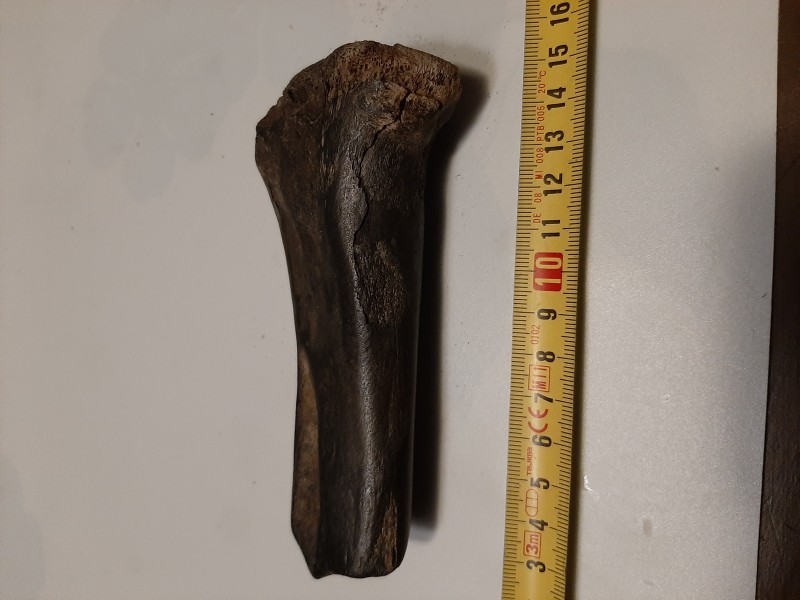 20220131_204206.jpg