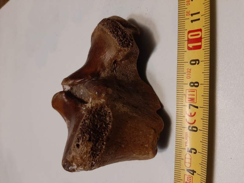 20220131_204145.jpg