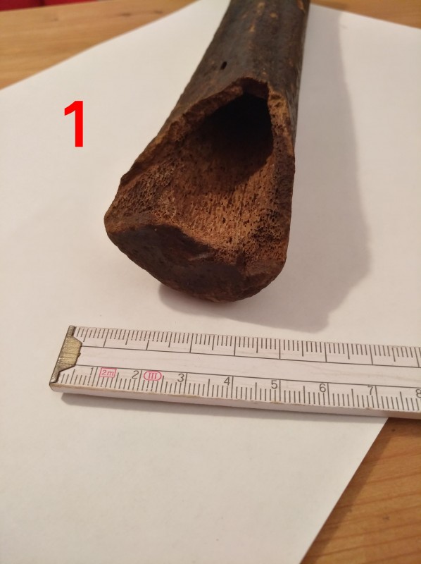 1c.jpg