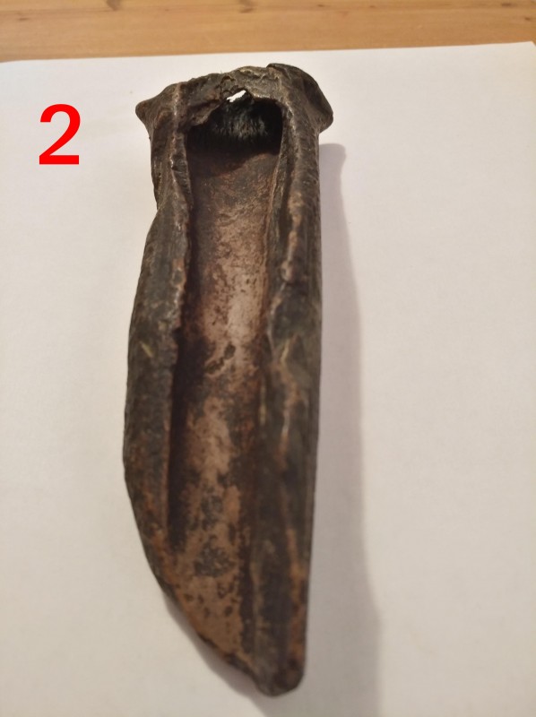 2c.jpg