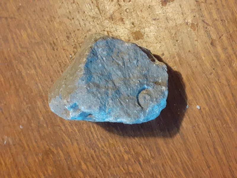 20220207_141622.jpg