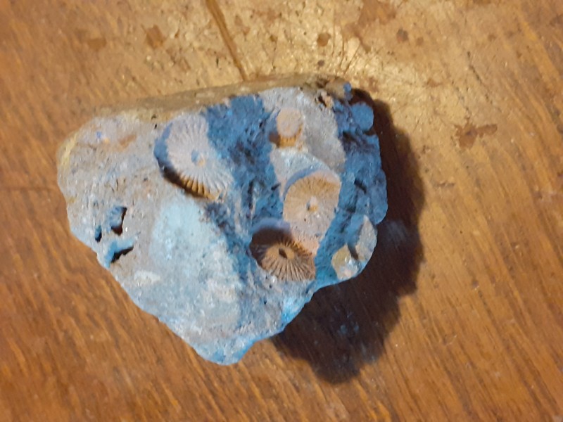 20220207_141612.jpg