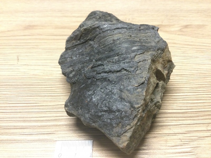 Hout of blad?
