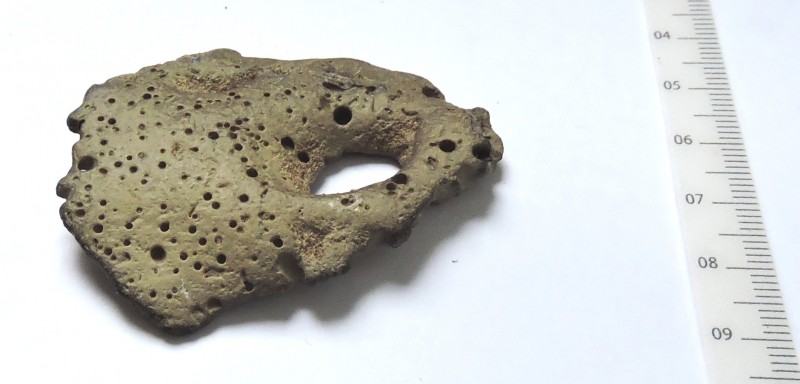 Fossiel stukje -1.jpg