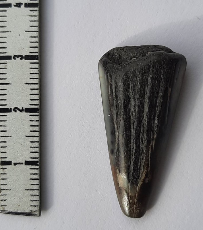 1.jpg (90.39 KiB) 2485 keer bekeken 1.jpg