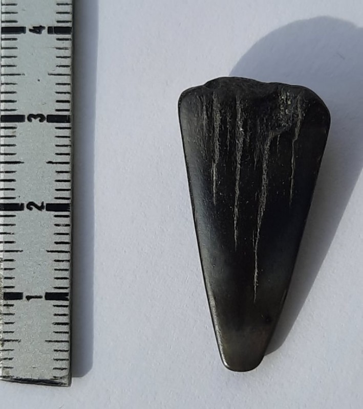 2.jpg (71.92 KiB) 2517 keer bekeken 2.jpg