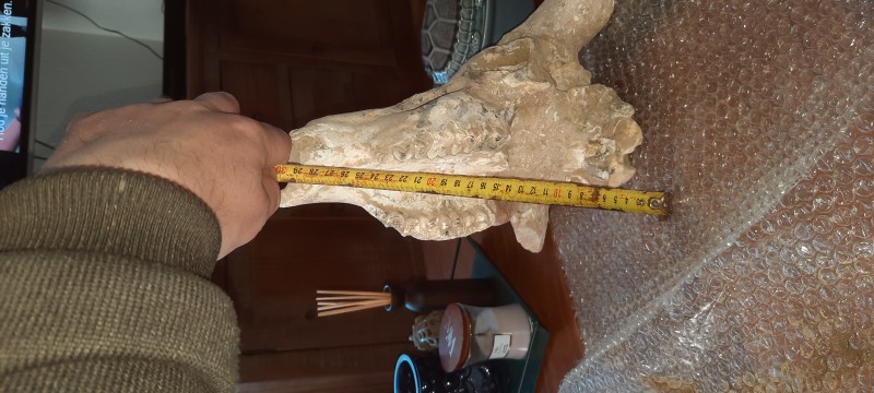 20220227_123402.jpg