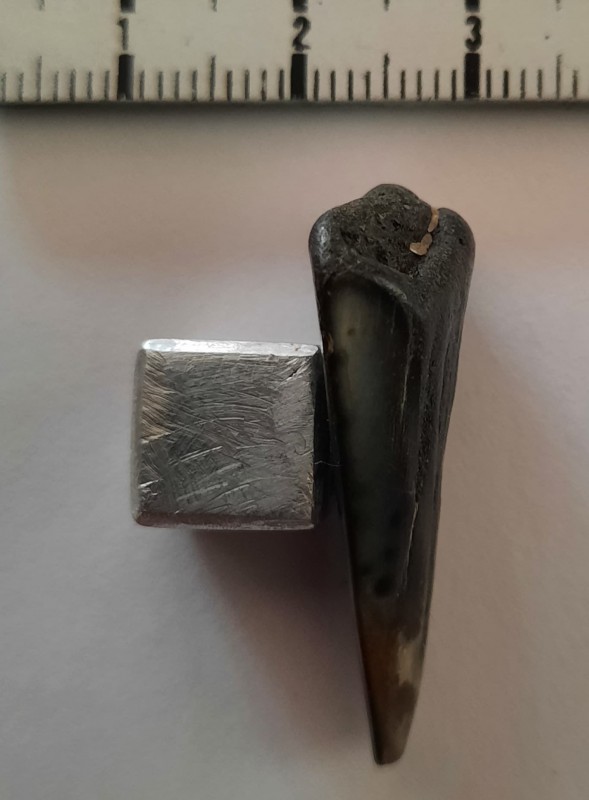 4.jpg (105.84 KiB) 2332 keer bekeken 4.jpg