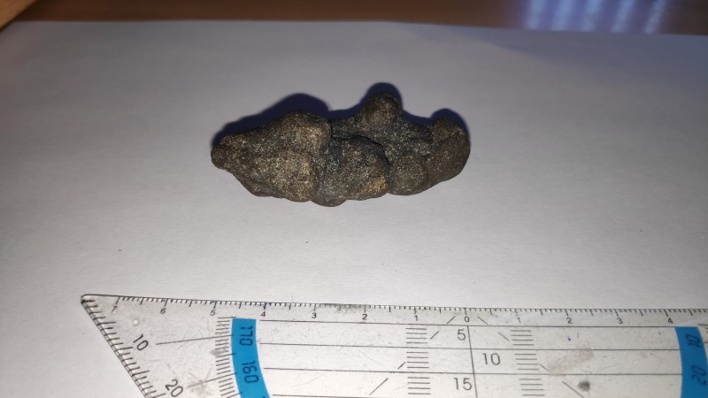 Coproliet?