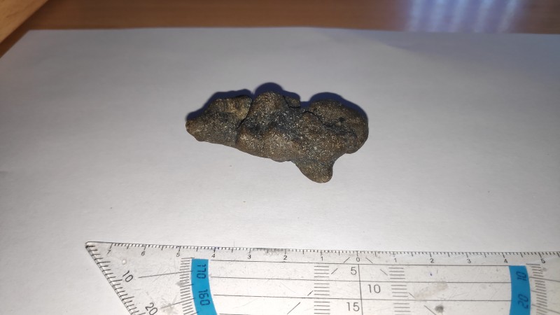 Coproliet?