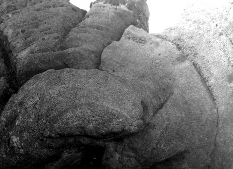 Bildschirmfoto 2022-03-08 um 19.58.00.png