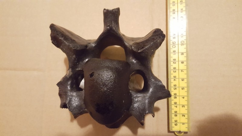 20200211_203613.jpg (137.74 KiB) 570 keer bekeken 20200211_203613.jpg